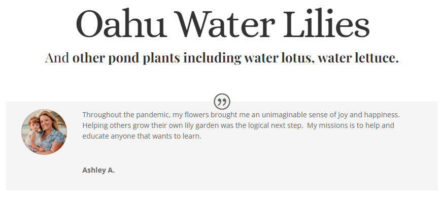 Oahu Water Lilies